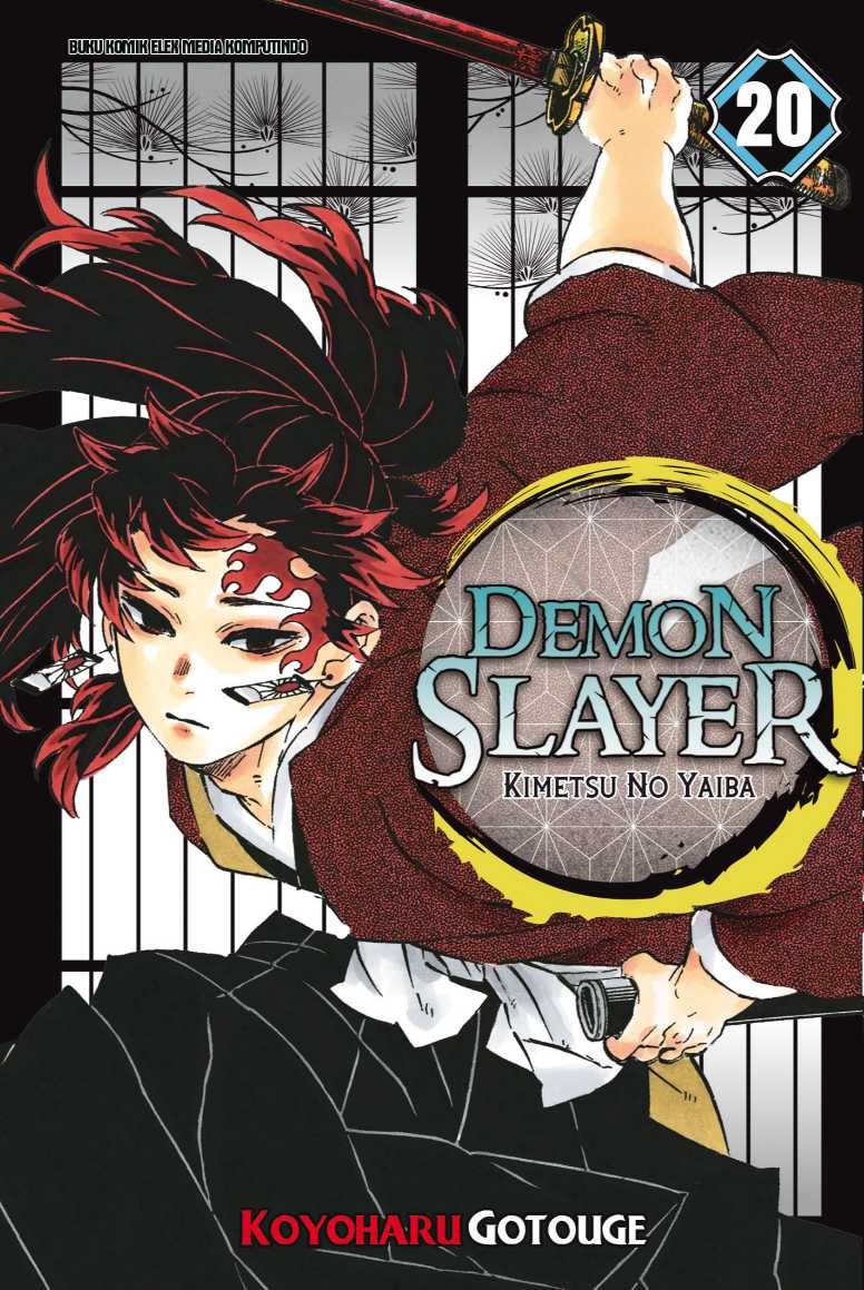 DEMON SLAYER: Kimetsu no Yaiba 20
