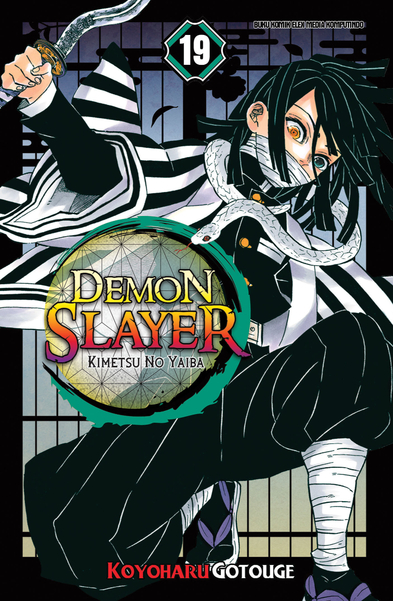 DEMON SLAYER: Kimetsu no Yaiba 19
