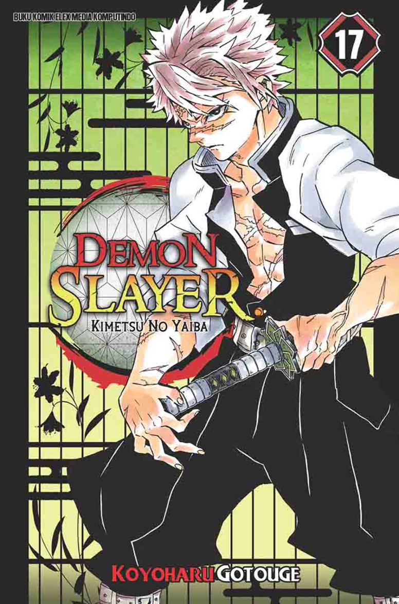 DEMON SLAYER: Kimetsu no Yaiba 17