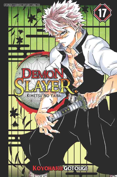 DEMON SLAYER: Kimetsu no Yaiba 17