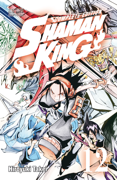 Shaman King Complete Edition 12