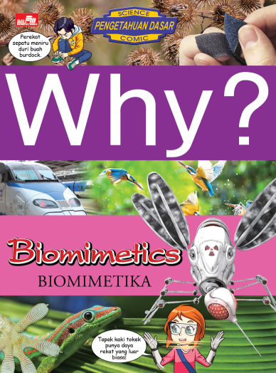 Why? Biomimetics - Biomimetika