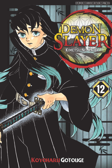 DEMON SLAYER: Kimetsu no Yaiba 12