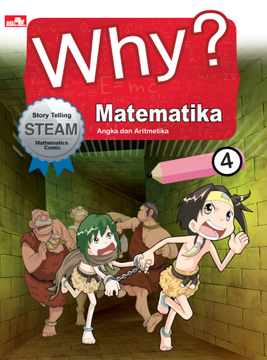 Why? Matematika 4