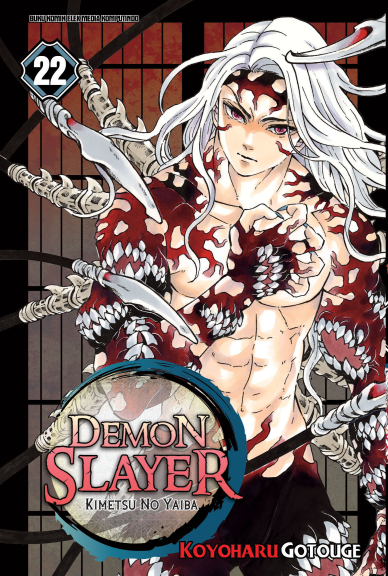 DEMON SLAYER: Kimetsu no Yaiba 22